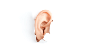 Neurotologist Insights on Ear