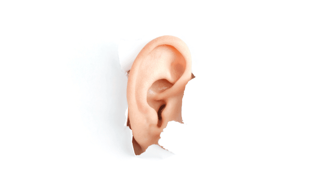 Neurotologist Insights on Ear